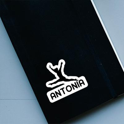 Antonia Sticker Gymnast Notebook Image