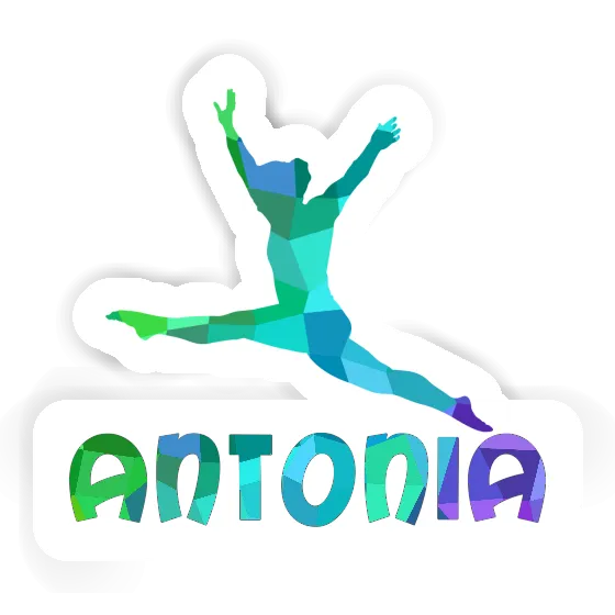 Antonia Autocollant Gymnaste Gift package Image