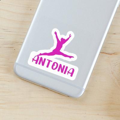 Antonia Sticker Gymnast Gift package Image