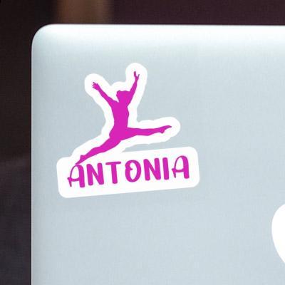 Antonia Sticker Gymnast Notebook Image