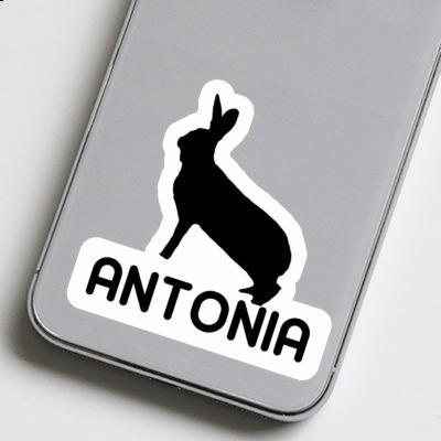 Rabbit Sticker Antonia Laptop Image