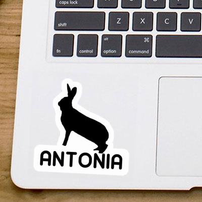 Lapin Autocollant Antonia Laptop Image