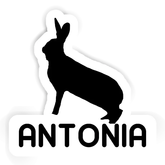 Rabbit Sticker Antonia Notebook Image