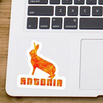 Rabbit Sticker Antonia Laptop Image