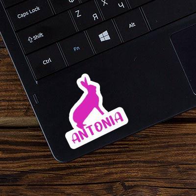 Autocollant Lapin Antonia Laptop Image