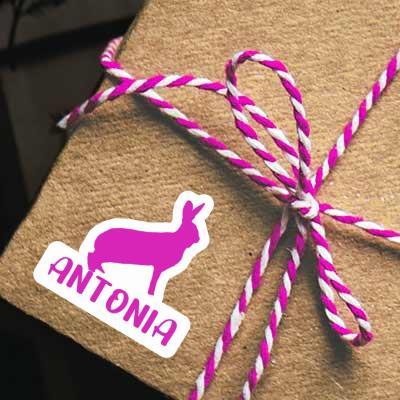 Sticker Hase Antonia Gift package Image