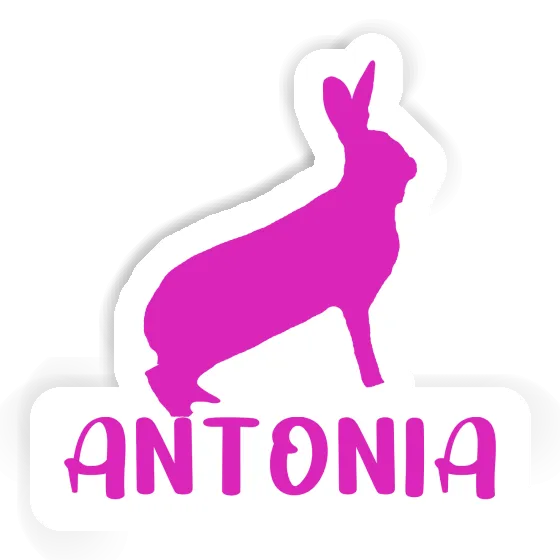 Sticker Rabbit Antonia Notebook Image