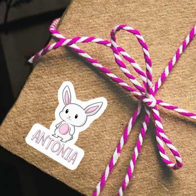 Hase Aufkleber Antonia Gift package Image