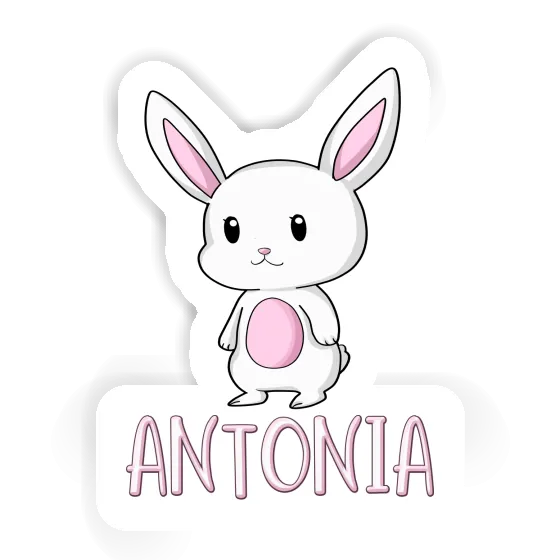 Autocollant Lapin Antonia Notebook Image