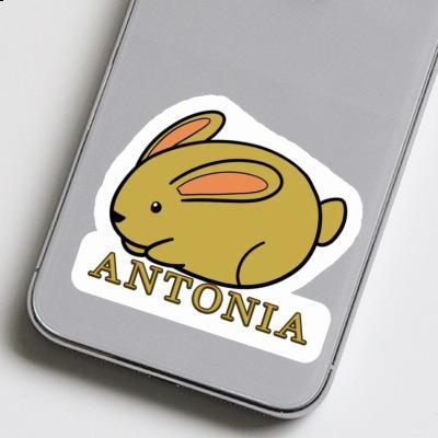 Antonia Sticker Hare Laptop Image