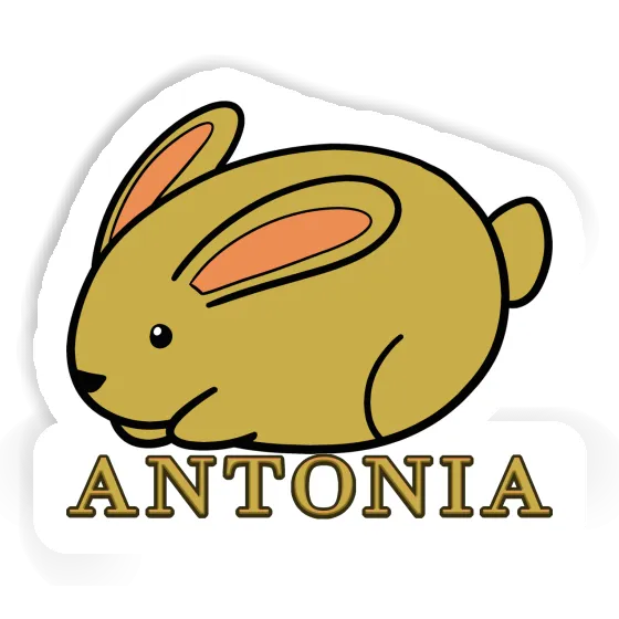 Antonia Sticker Hare Notebook Image