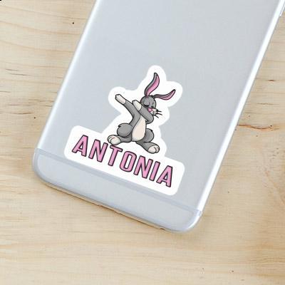 Antonia Sticker Dabbing Hare Gift package Image