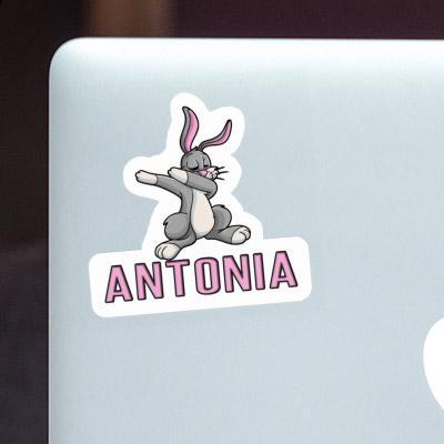 Antonia Sticker Dabbing Hare Notebook Image