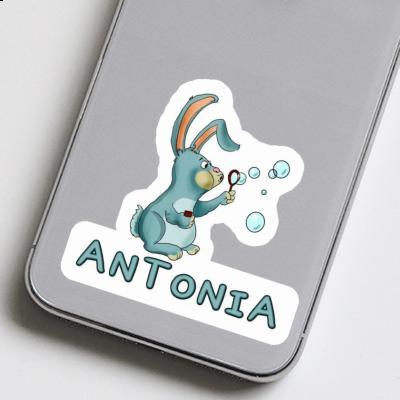 Sticker Antonia Soap Bubbles Rabbit Image