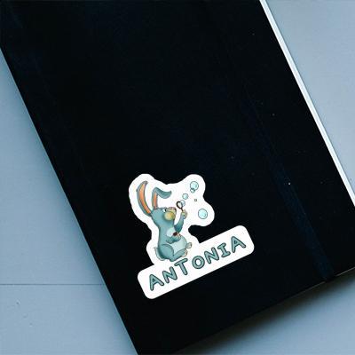 Sticker Antonia Soap Bubbles Rabbit Notebook Image