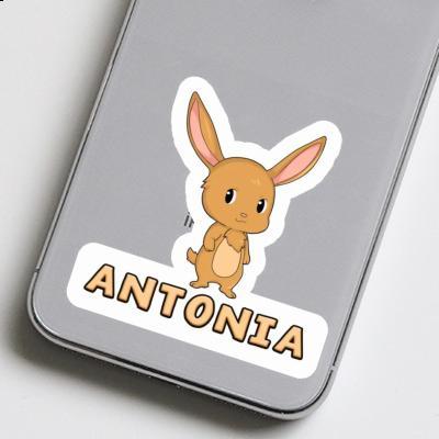 Antonia Sticker Easter Bunny Notebook Image