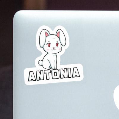 Sticker Hase Antonia Laptop Image