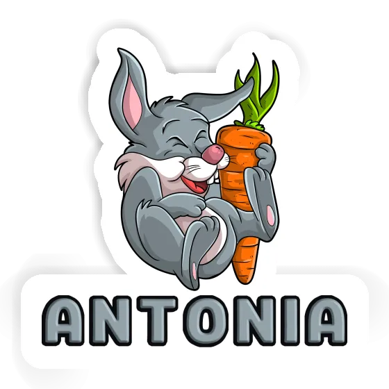 Sticker Hare Antonia Laptop Image