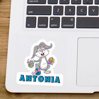 Sticker Osterhase Antonia Laptop Image