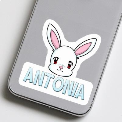 Autocollant Lapin Antonia Laptop Image