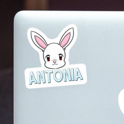 Autocollant Lapin Antonia Image