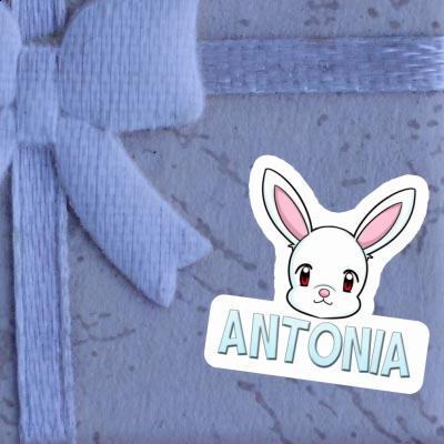 Antonia Sticker Rabbithead Notebook Image