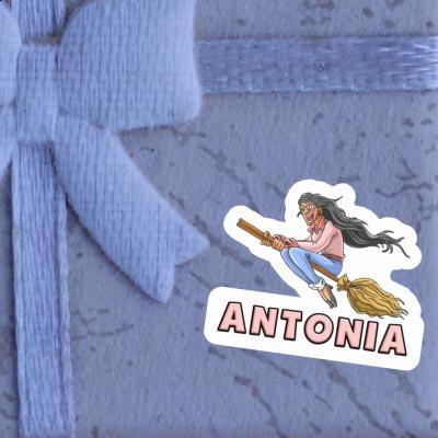 Autocollant Antonia Sorcière Gift package Image