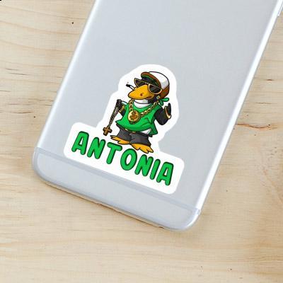 Sticker Antonia Hip-Hop Penguin Gift package Image