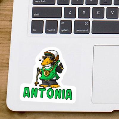 Sticker Antonia Hip-Hop Penguin Laptop Image