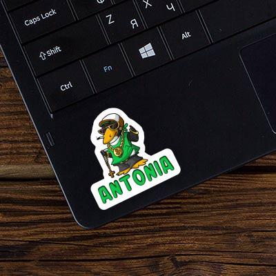 Sticker Antonia Hip-Hop Penguin Laptop Image