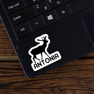 Sticker Deer Antonia Laptop Image