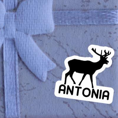 Sticker Hirsch Antonia Gift package Image