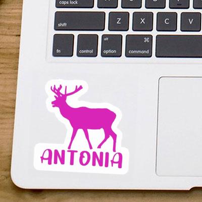 Antonia Sticker Deer Laptop Image