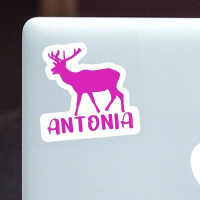 Antonia Sticker Deer Laptop Image