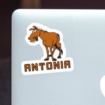 Antonia Autocollant Cheval Notebook Image