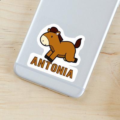 Antonia Sticker Horse Image