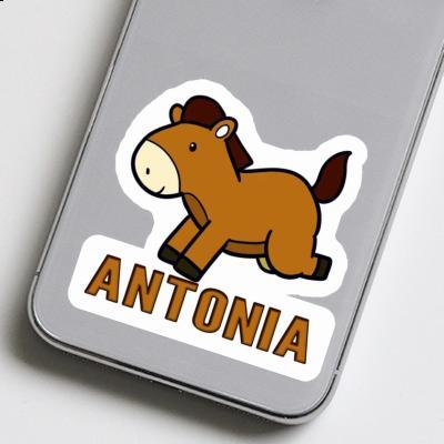 Antonia Autocollant Cheval Notebook Image