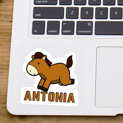 Antonia Sticker Horse Notebook Image