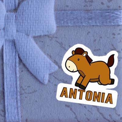 Antonia Sticker Horse Notebook Image