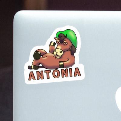 Antonia Sticker Lying horse Notebook Image