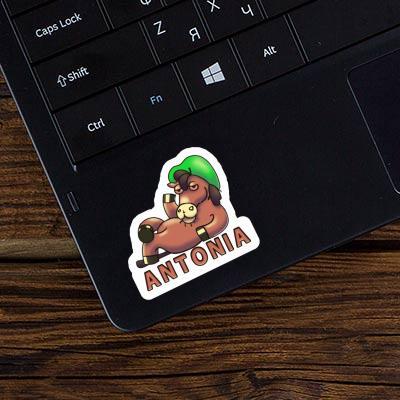 Antonia Sticker Lying horse Laptop Image