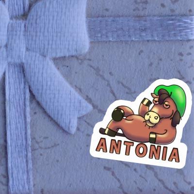 Antonia Sticker Lying horse Image