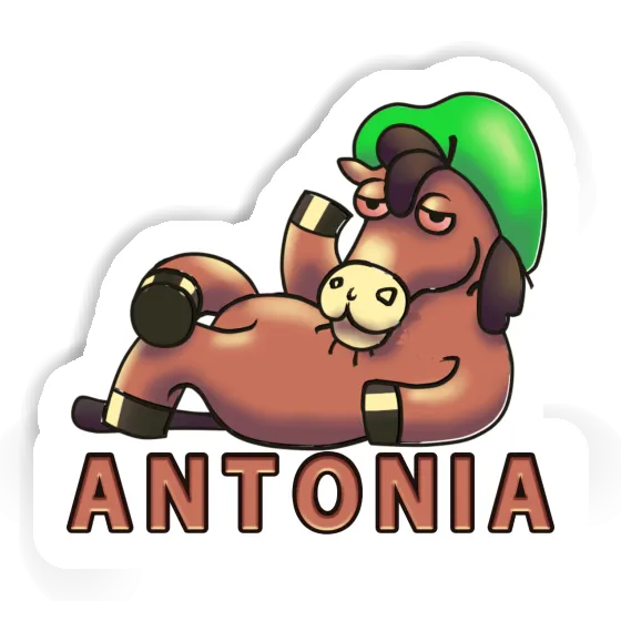 Antonia Sticker Lying horse Notebook Image