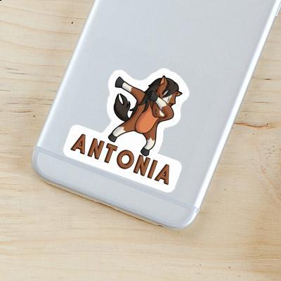 Antonia Sticker Pferd Notebook Image