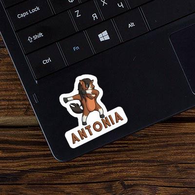 Sticker Antonia Horse Laptop Image