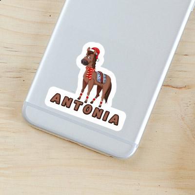 Christmas Horse Sticker Antonia Gift package Image