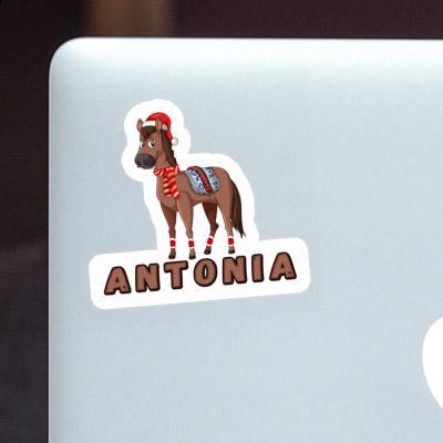 Christmas Horse Sticker Antonia Gift package Image