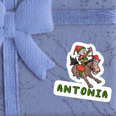 Antonia Sticker Rider Image