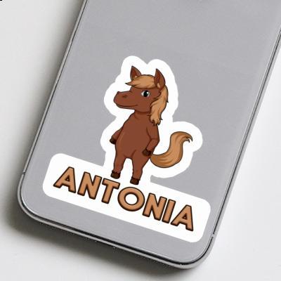 Pferd Sticker Antonia Laptop Image