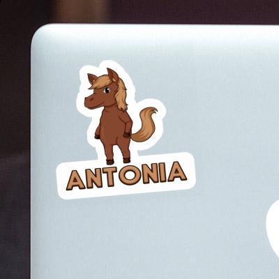 Autocollant Cheval Antonia Laptop Image